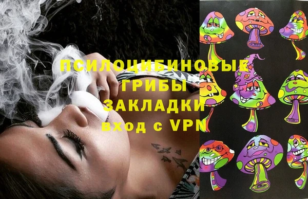 шишки Сафоново